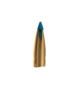 Cartridge 300 AAC BLACKOUT TXRG 110 GRS