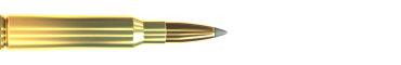 Náboj 6,5 × 55 SE SBT 140 GRS