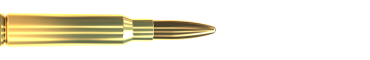 Cartridge 6,5 × 55 SE FMJBT 140 GRS