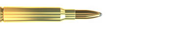 Náboj 6,5 × 55 SE SP 131 GRS