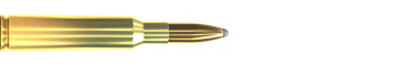 Cartridge 6,5 × 55 SE SP 156 GRS