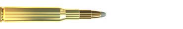 Náboj 7 × 57 SPCE 173 GRS