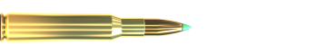 Náboj 7 × 57 PTS 162 GRS