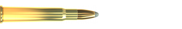 Cartridge 303 BRITISH SP 150 GRS