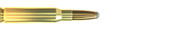 Náboj 308 WIN. SP 180 GRS