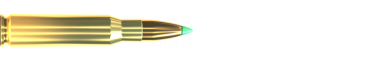 Náboj 308 WIN. PTS 180 GRS