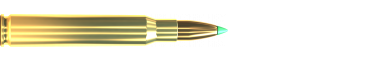 Cartridge 30-06 SPRING. PTS 180 GRS