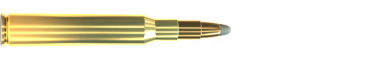 Cartridge 7 × 64 SPCE 173 GRS