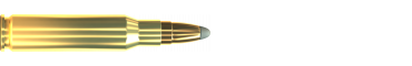 Cartridge 308 WIN. SPCE 180 GRS