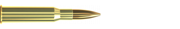 Náboj 7,62 × 54 R FMJ 180 GRS