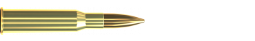 Cartridge 7,62 × 54 R FMJ 180 GRS