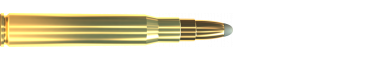 Cartridge 8 × 64 S SPCE 196 GRS