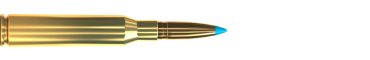 Náboj 6,5 × 57 TXRG 120 GRS