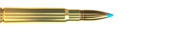 Cartridge 8 × 57 JS TXRG 180 GRS