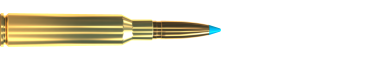 Náboj 6,5 × 55 SE TXRG 120 GRS