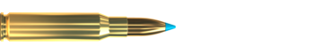 Cartridge 308 WIN. TXRG 110 GRS