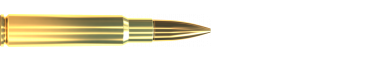 Cartridge 7,5 × 55 SWISS FMJ 174 GRS