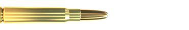 Cartridge 8 × 57 JS XRG 196 GRS