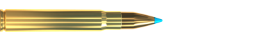 Cartridge 9,3 × 62 TXRG 250 GRS
